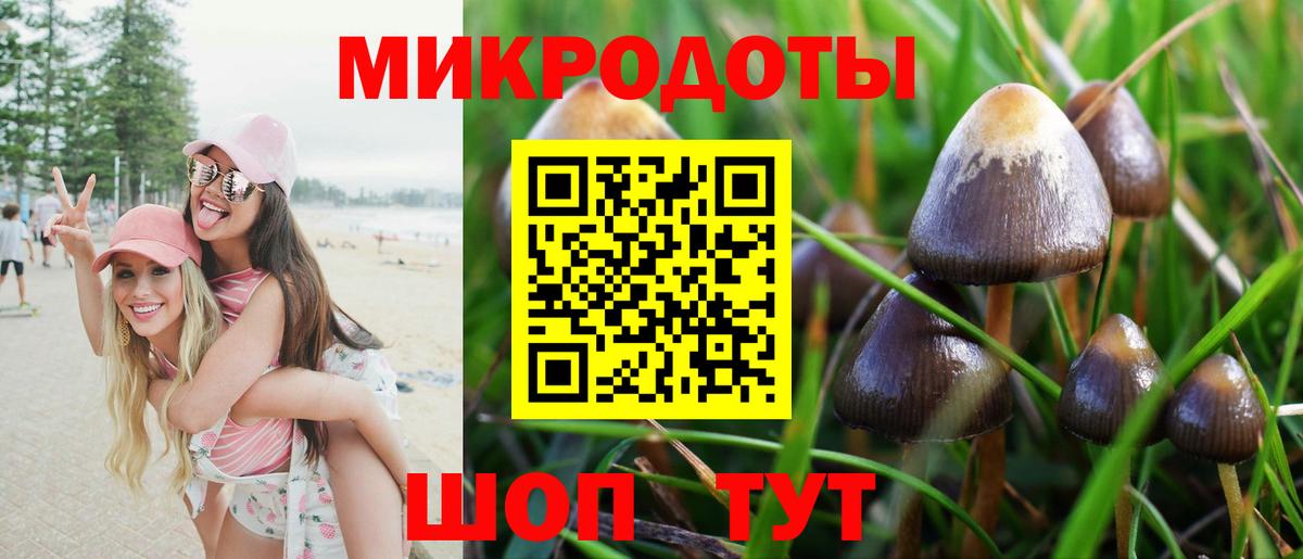 Гусиноозёрск  Псилоцибиновые грибы мухоморы  Вход с VPN 