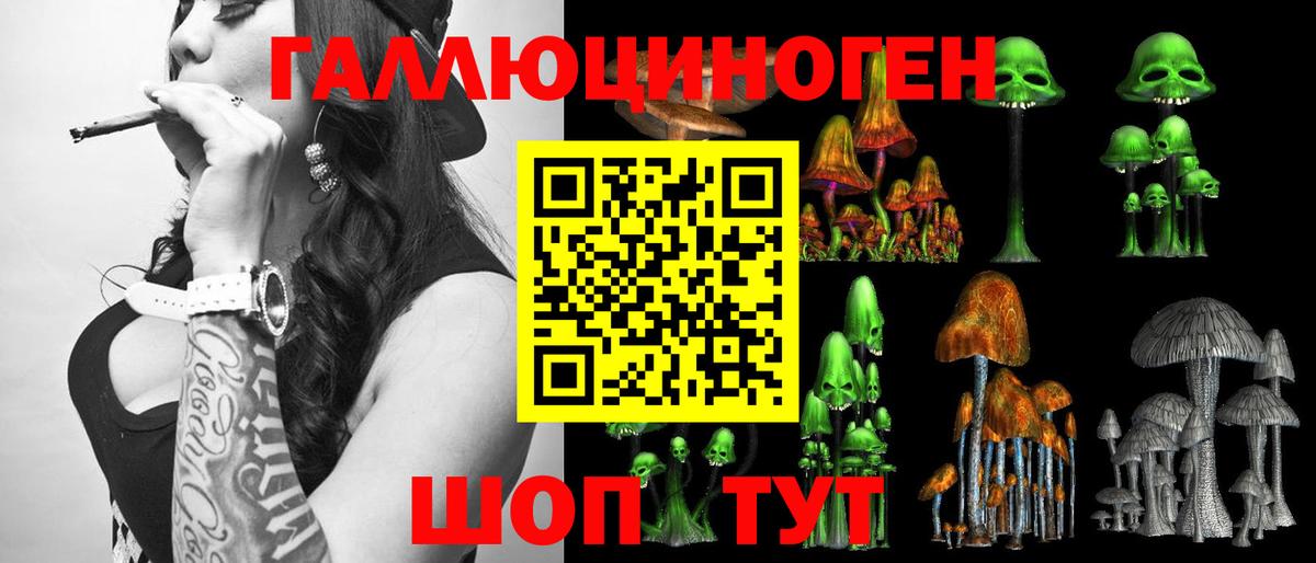Галлюциногенные грибы ЛСД Гусиноозёрск